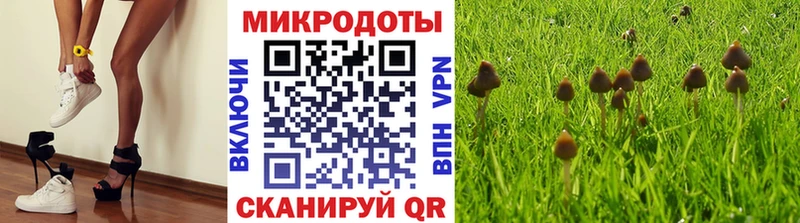 Галлюциногенные грибы Psilocybe  Купить закладки  Пушкино